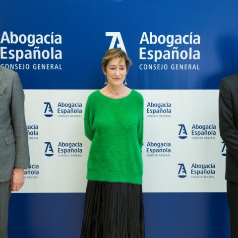 Estatuto Abogacía